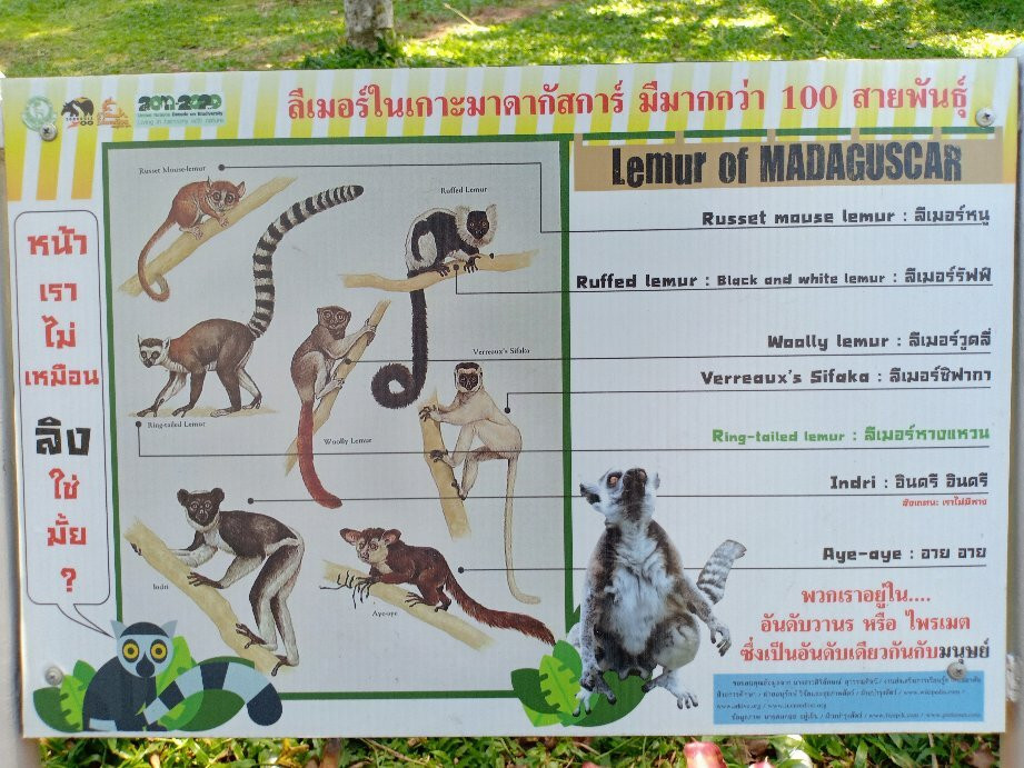Songkhla Zoo景点图片