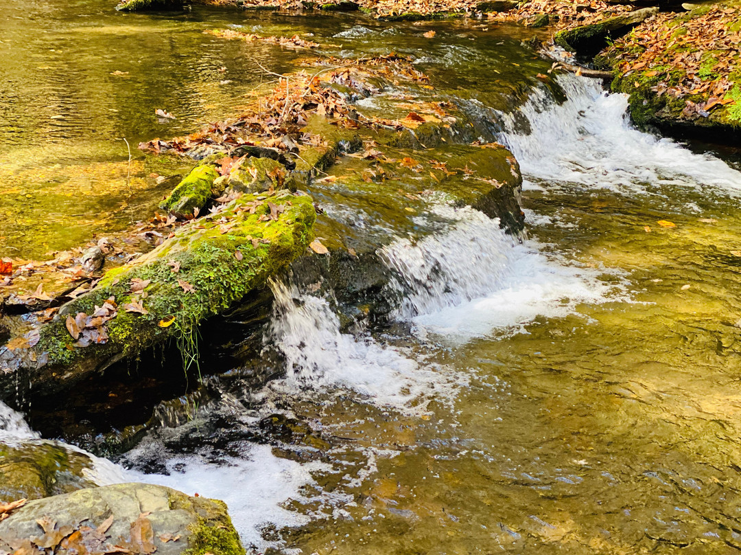 Short Springs Natural Area景点图片