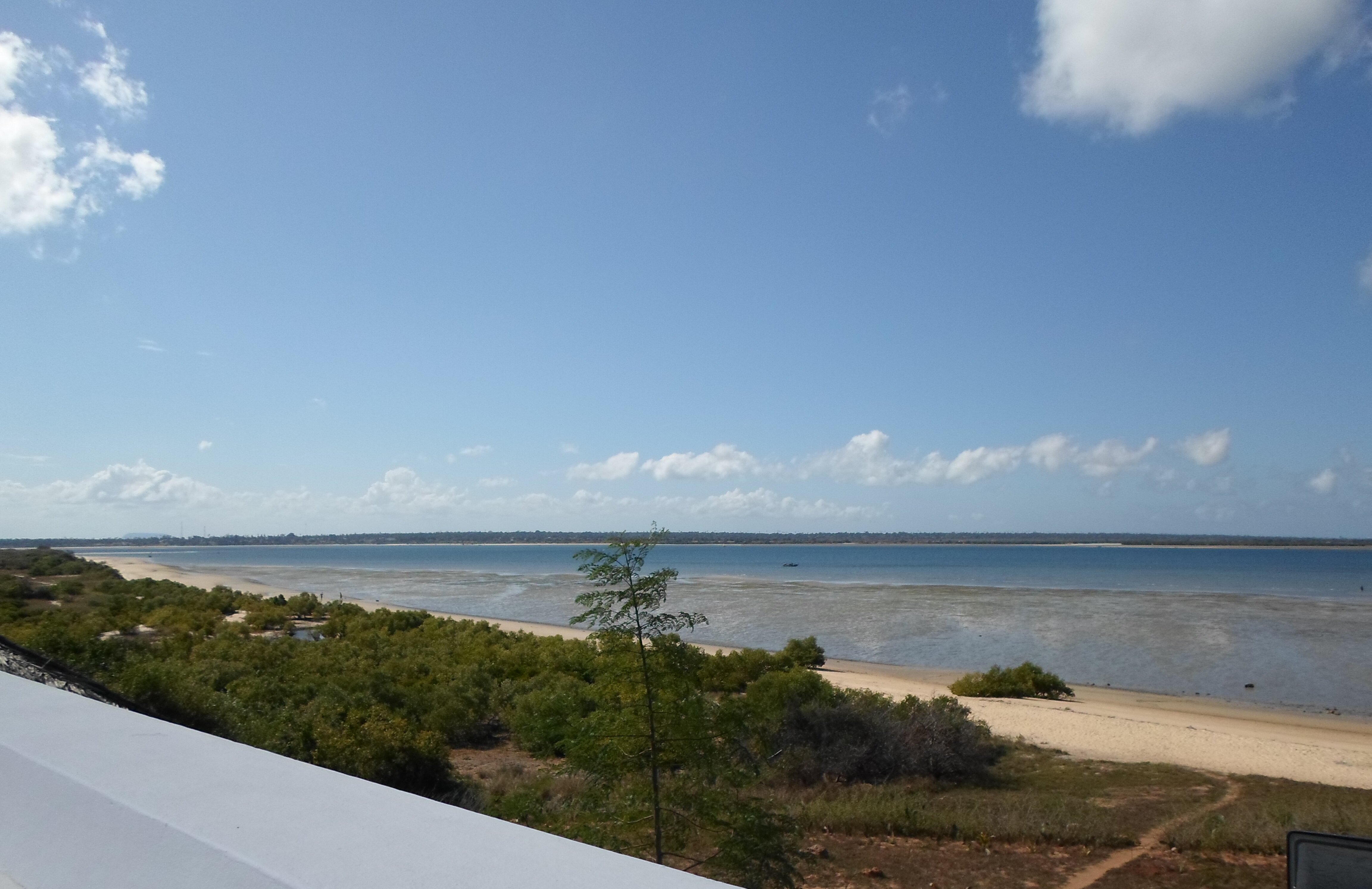 Villa Moringa Lodge-泳池