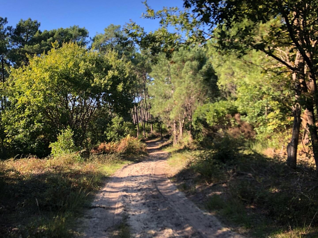 Sentier de Decouverte L'Etang de la Mailloueyre景点图片