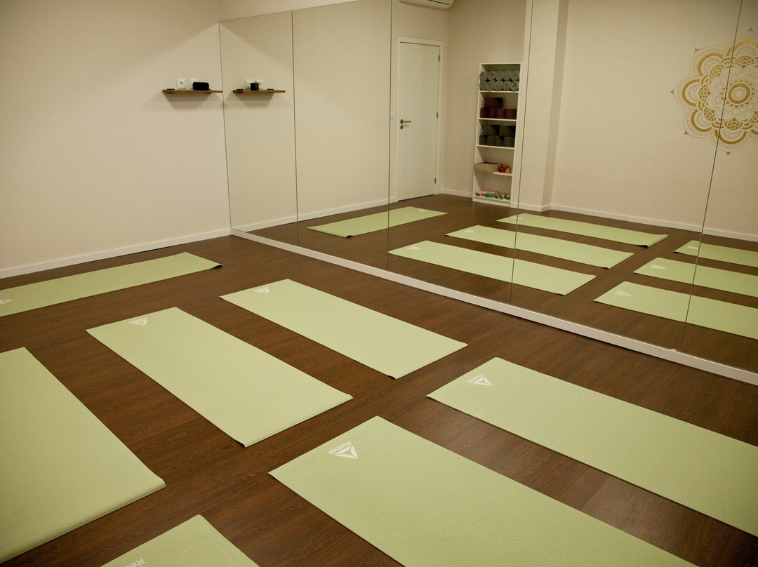 Arya Balance-Valongo必去景点