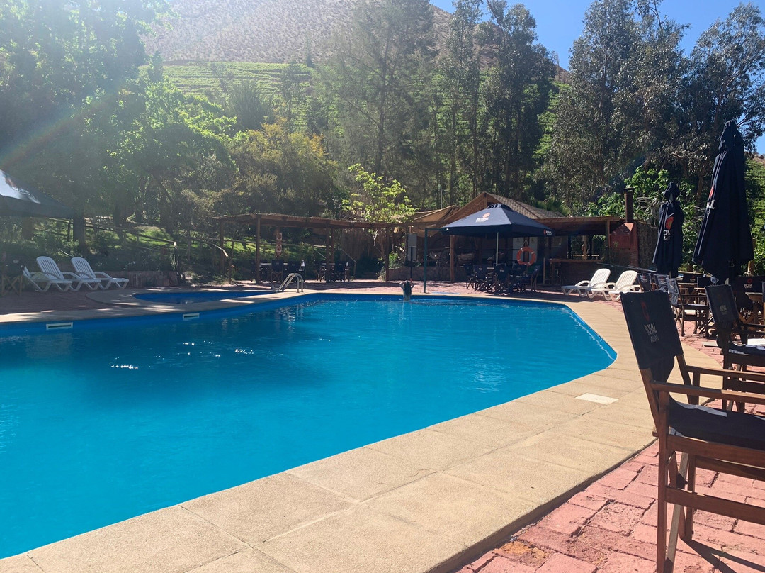 El Galpon Pisco Elqui主图