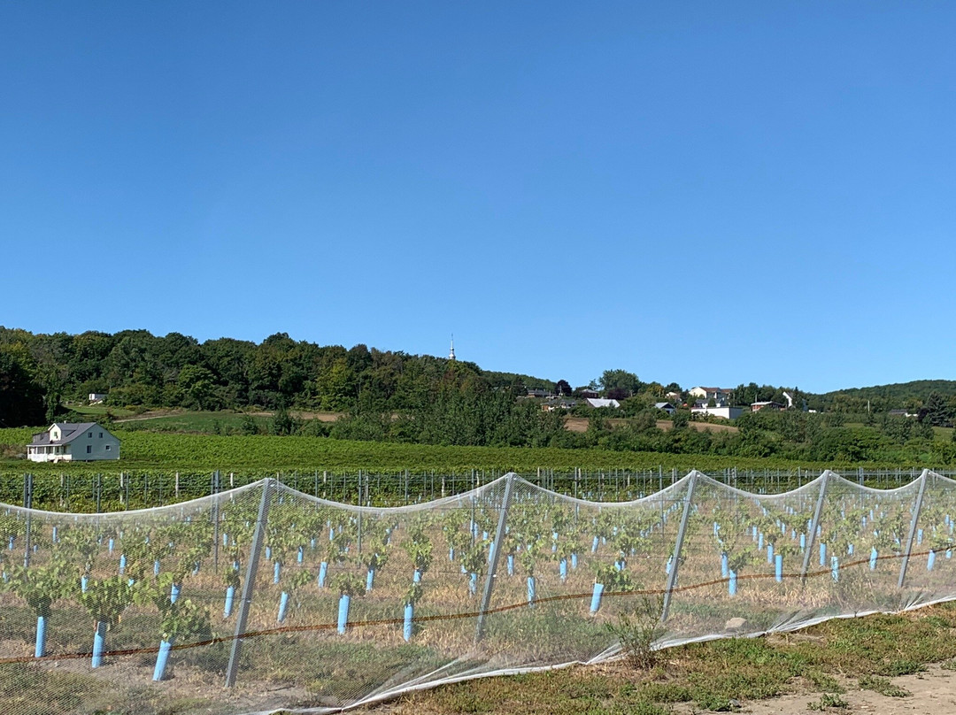 Centre d'Interpretation de la Courge du Quebec-Saint-Joseph-du-Lac必去景点