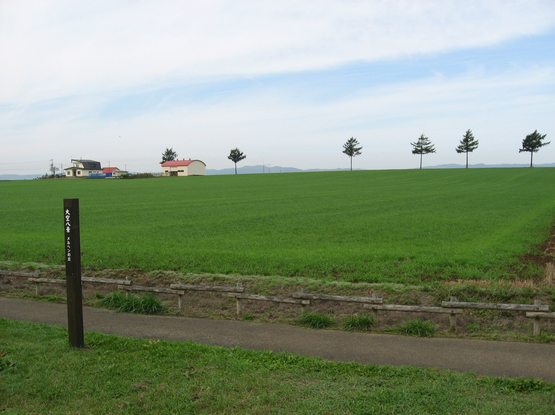 Marchen no Oka-大空町必去景点