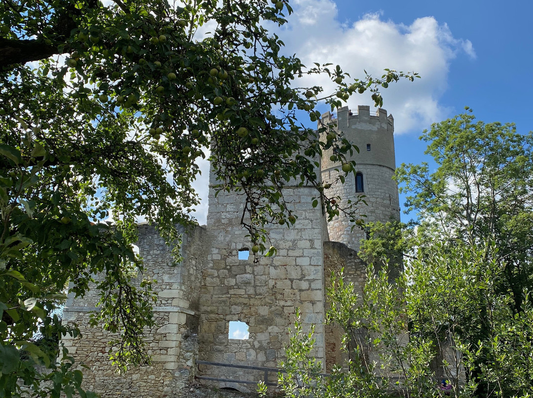 Burgruine Randeck景点图片