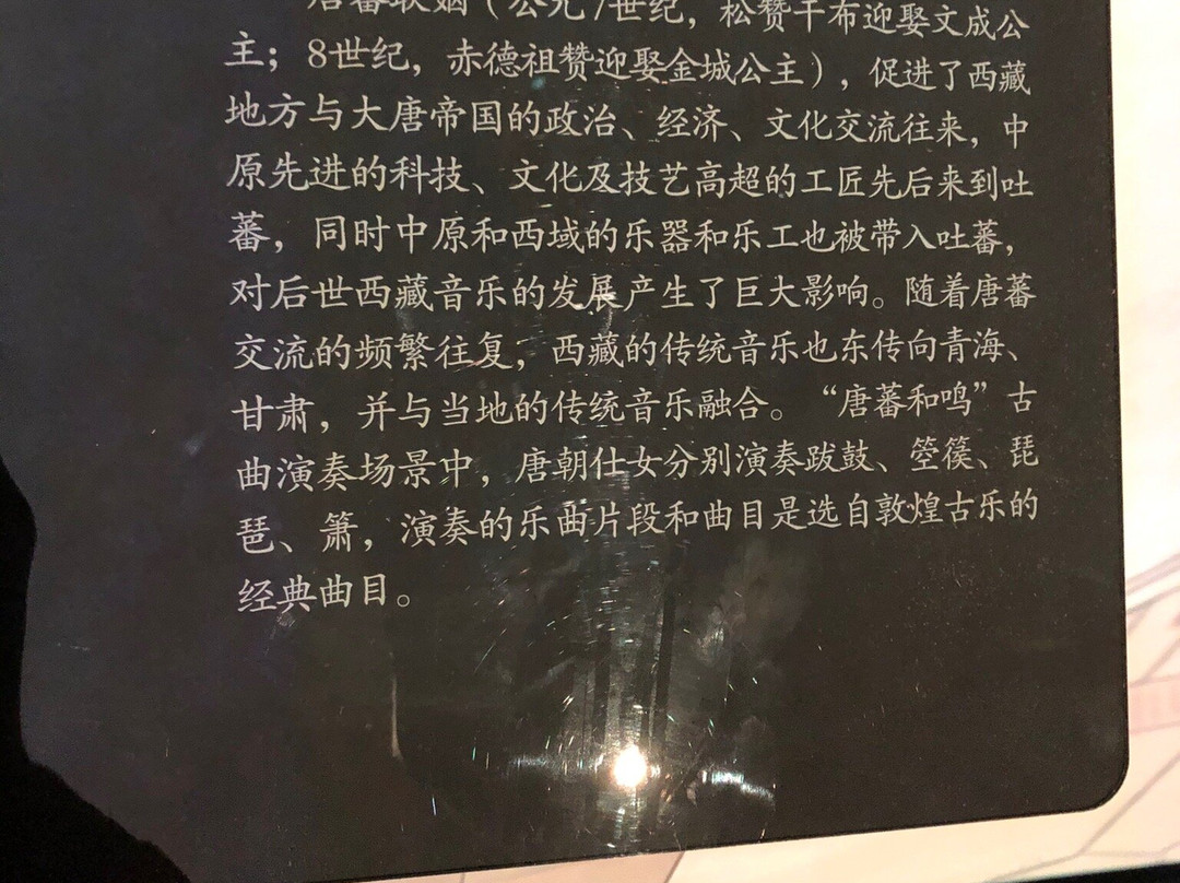 布达拉宫珍宝馆-拉萨市必去景点