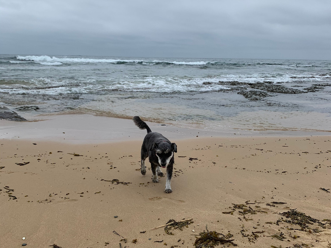 Buccaneer Motel主图