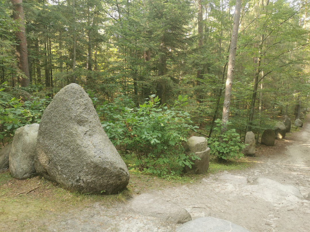Roztocze National Park-Zwierzyniec必去景点
