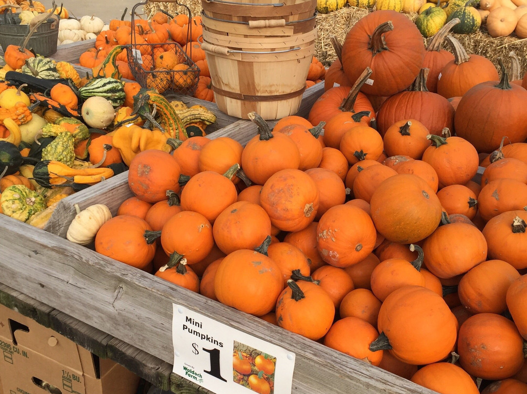 Waldoch Farm-Lino Lakes必去景点