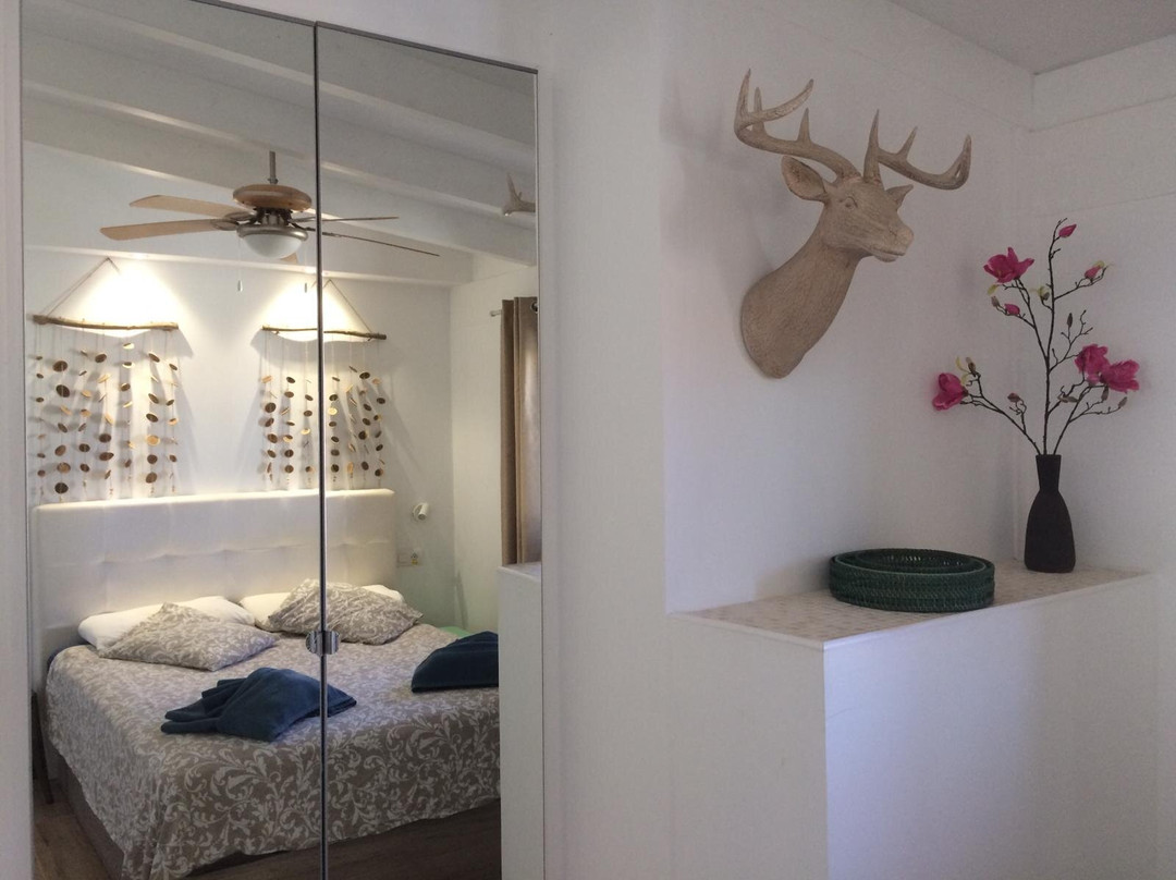 Infiniti - Fuerteventura Sun Club主图