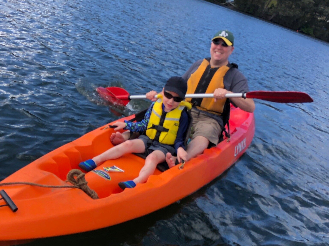 Nelligen Kayak Hire景点图片