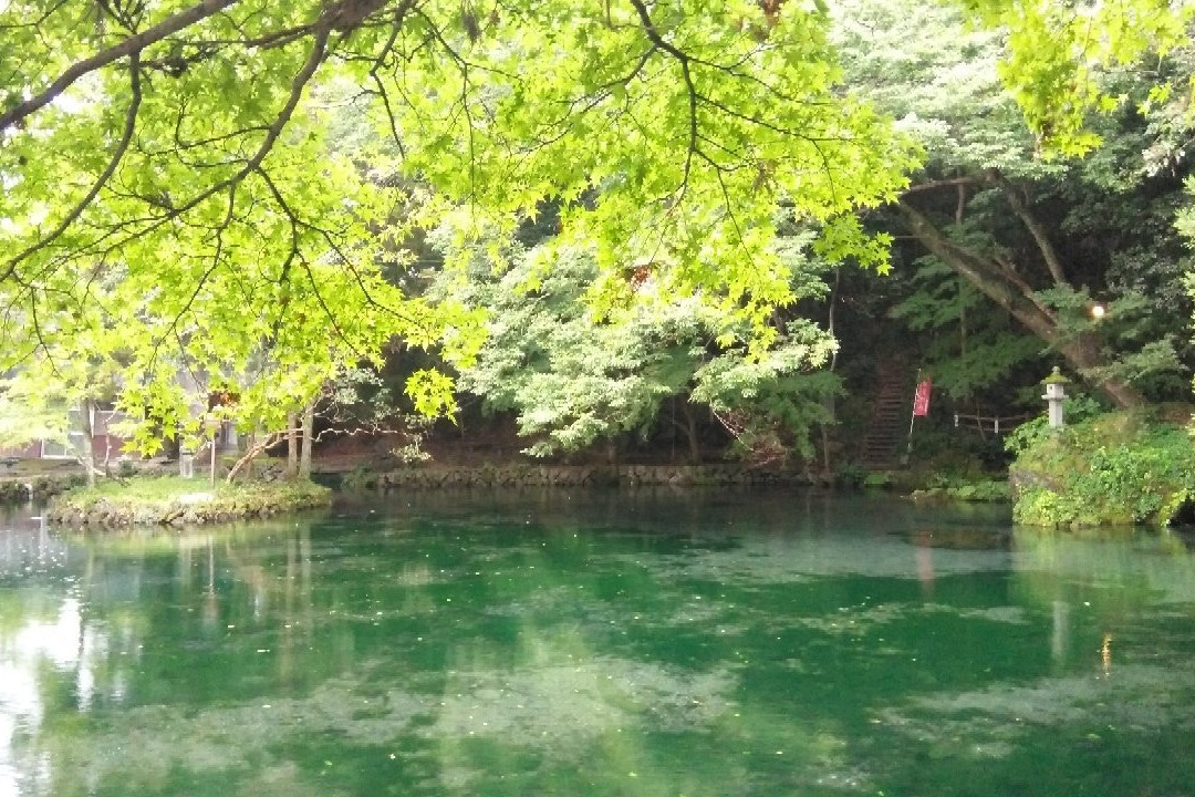 Izuruhara Benten Pond-佐野市必去景点