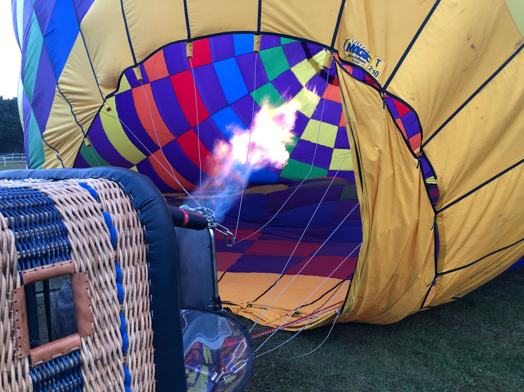 Ontario Hot Air Balloon Rides景点图片