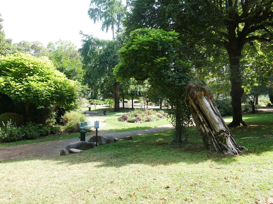 Jardin Des Arenes Romaines景点图片