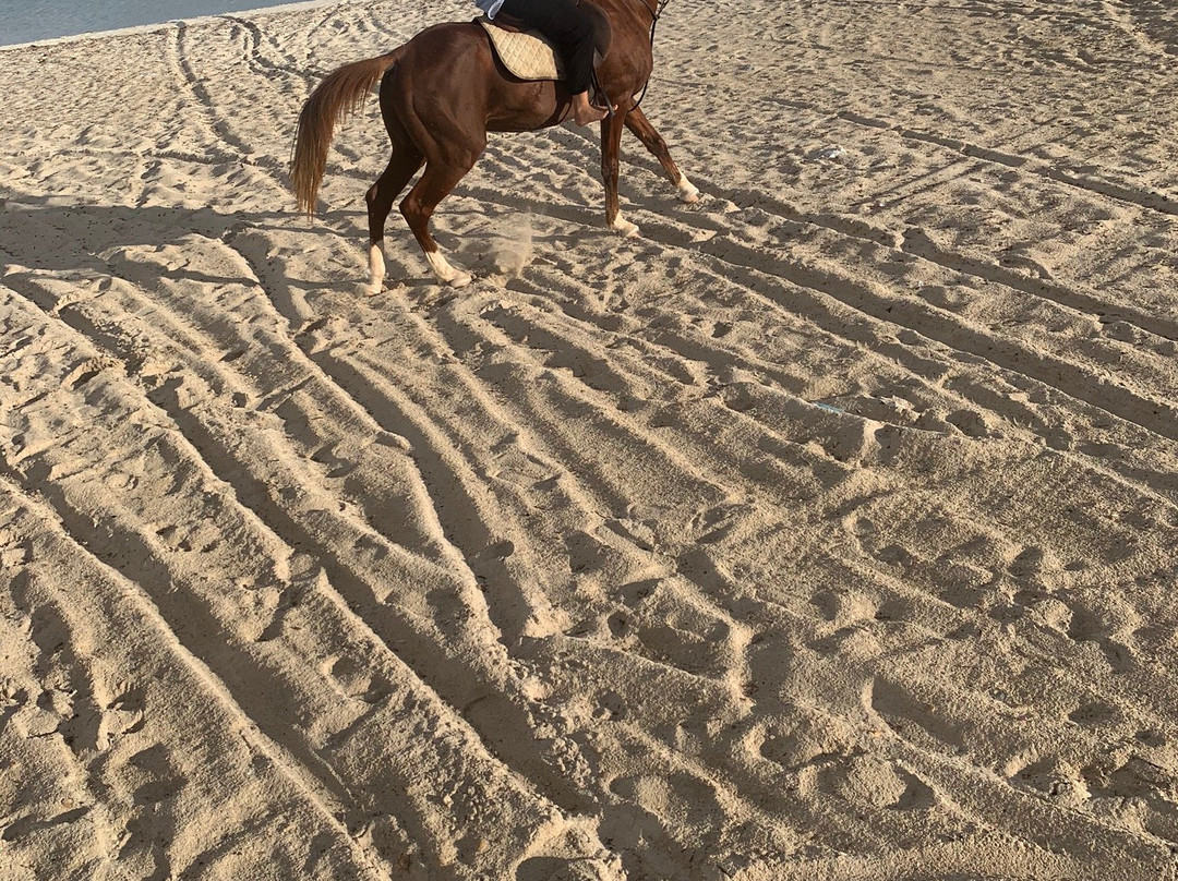 Ranch Yassmina Djerba La Douce景点图片