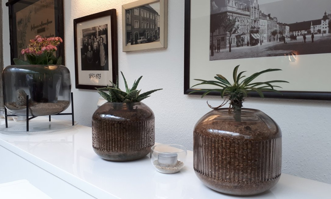 Boutique Hotel Hauser主图
