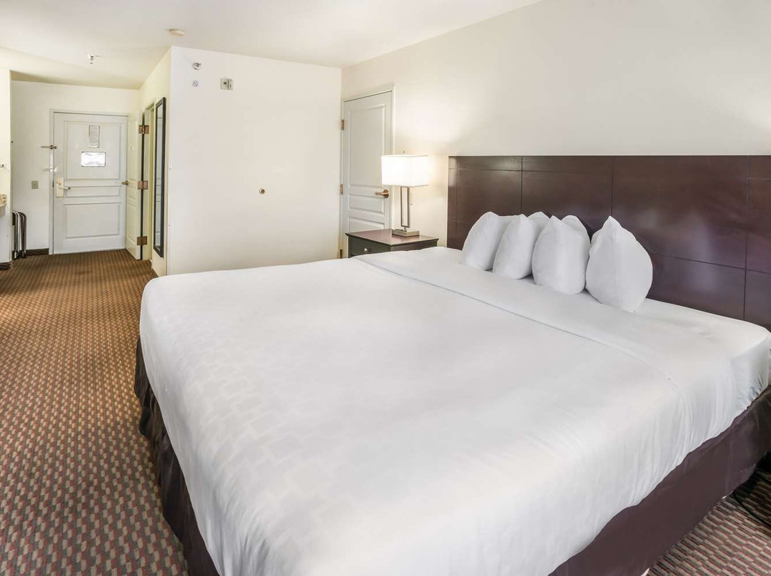 克拉丽奥酒店主图