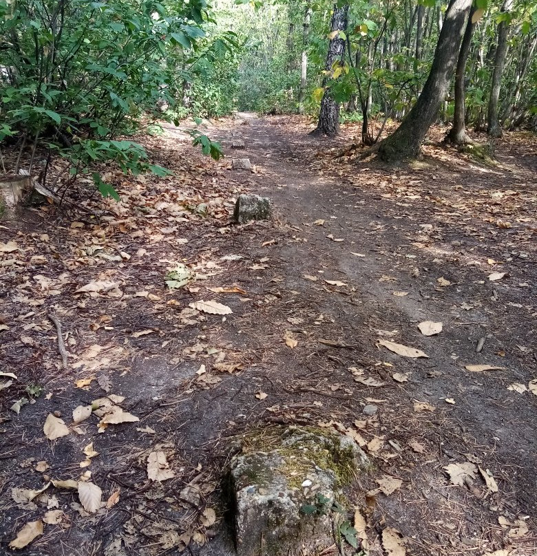 La Batterie Militaire De Blémur-Piscop必去景点