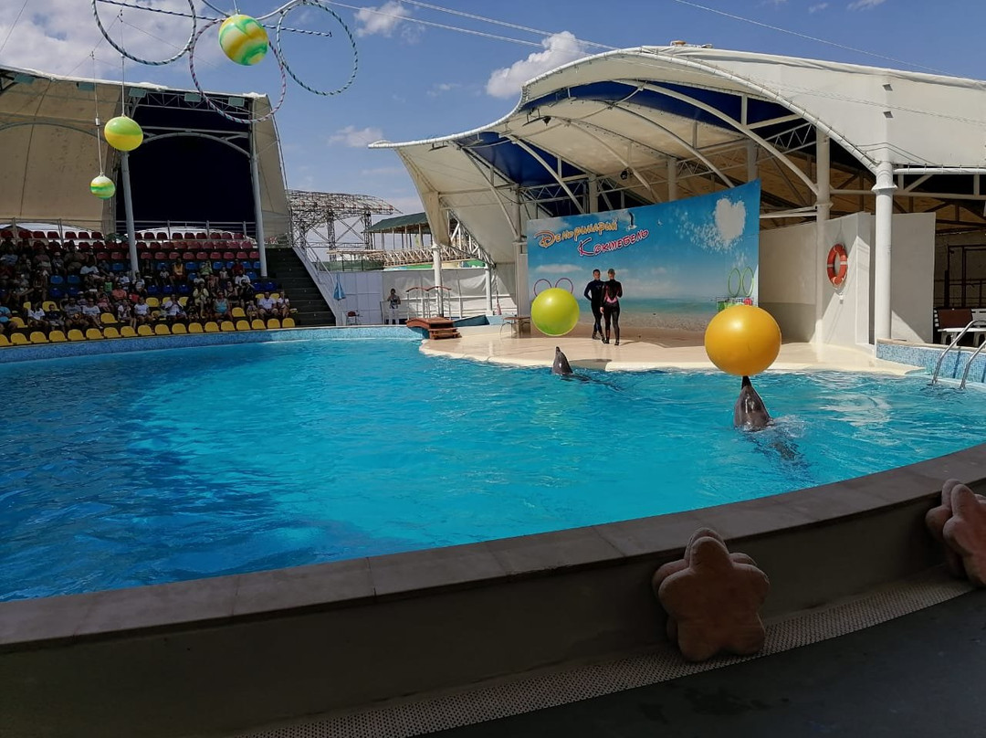 Dolphinarium Koktebel-Koktebel必去景点