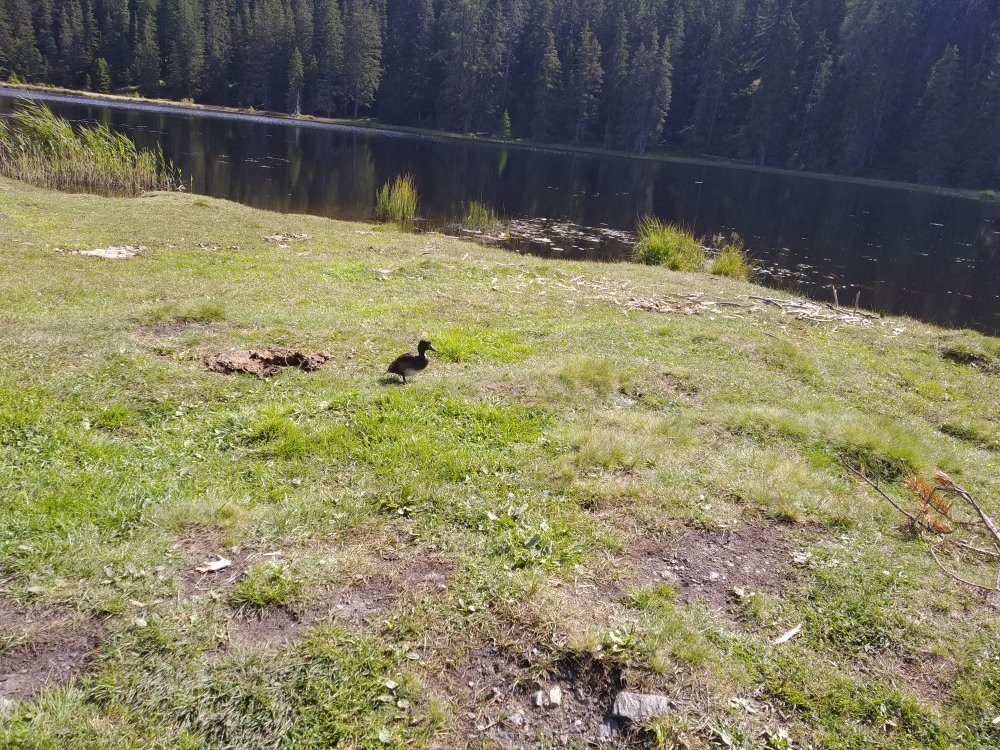 Schwarzer See-闹达斯必去景点