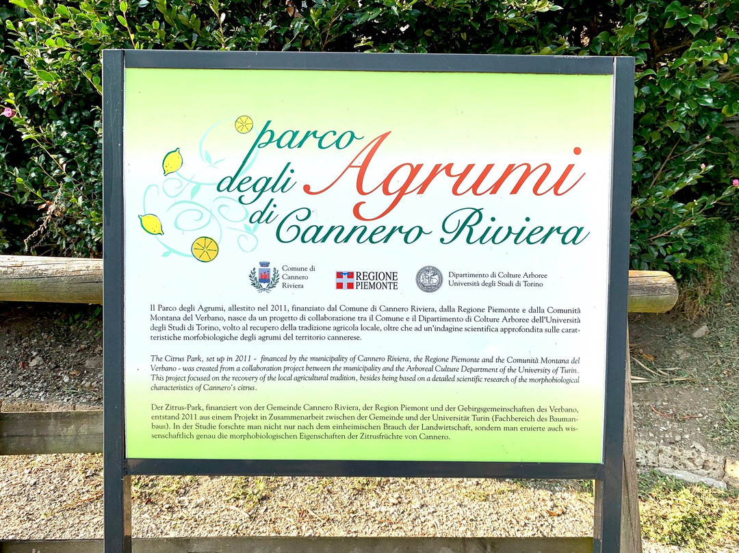 Parco Degli Agrumi景点图片