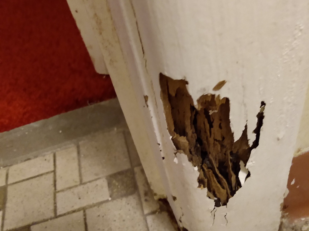 Riverview Cabins主图