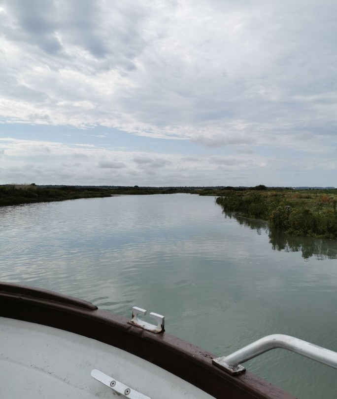 L'Aigrette II-Mornac sur Seudre必去景点