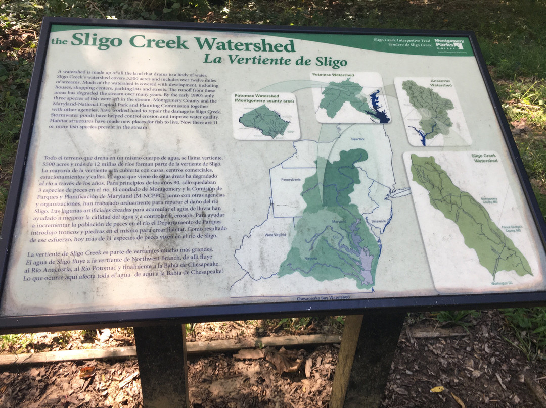 Sligo Creek Park景点图片