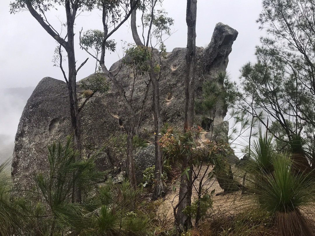Davies Creek National Park-马里巴必去景点