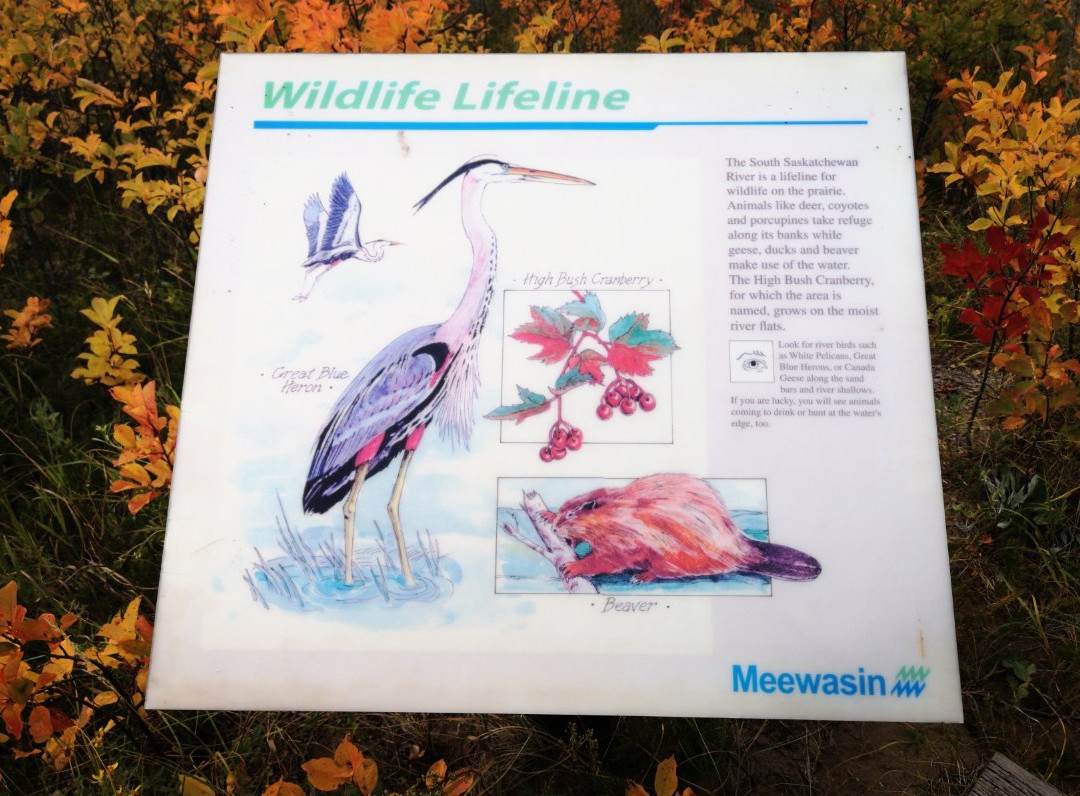 Cranberry Flats Conservation Area-萨斯卡通必去景点