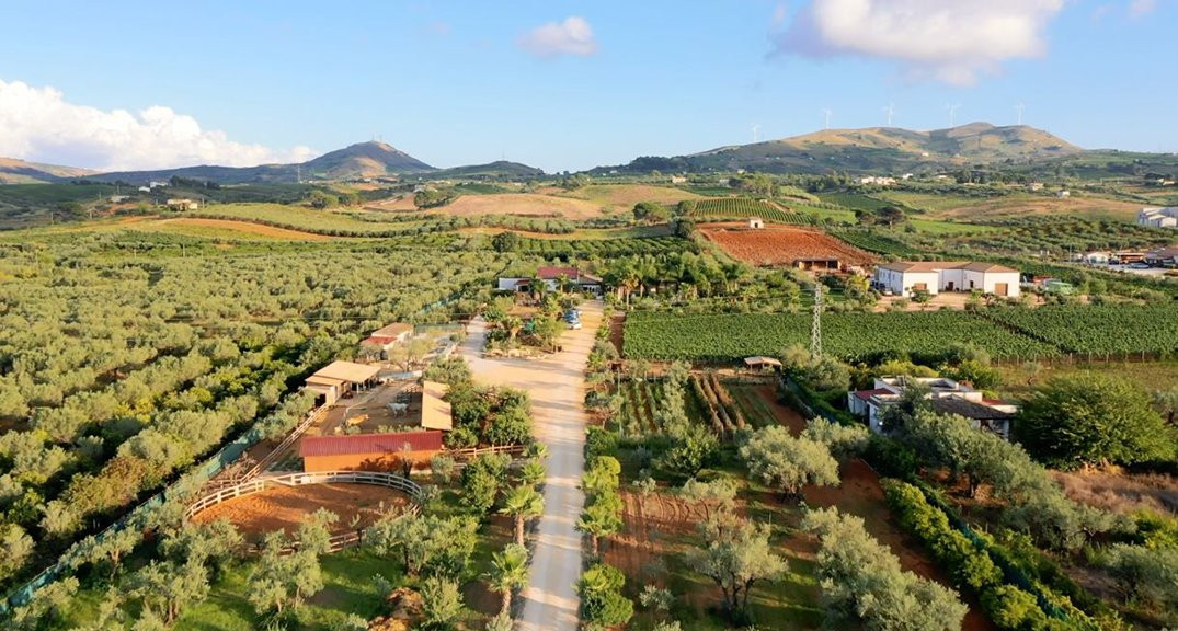 Bio Fattoria Augustali景点图片