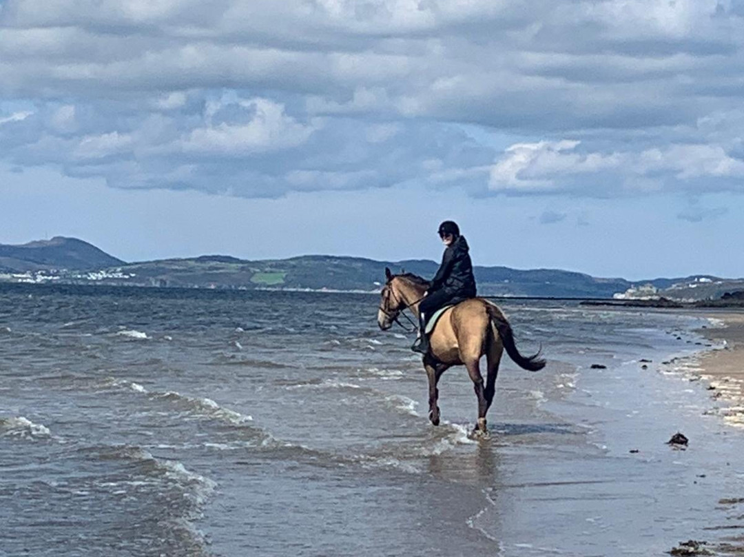 Crana Stables-Buncrana必去景点