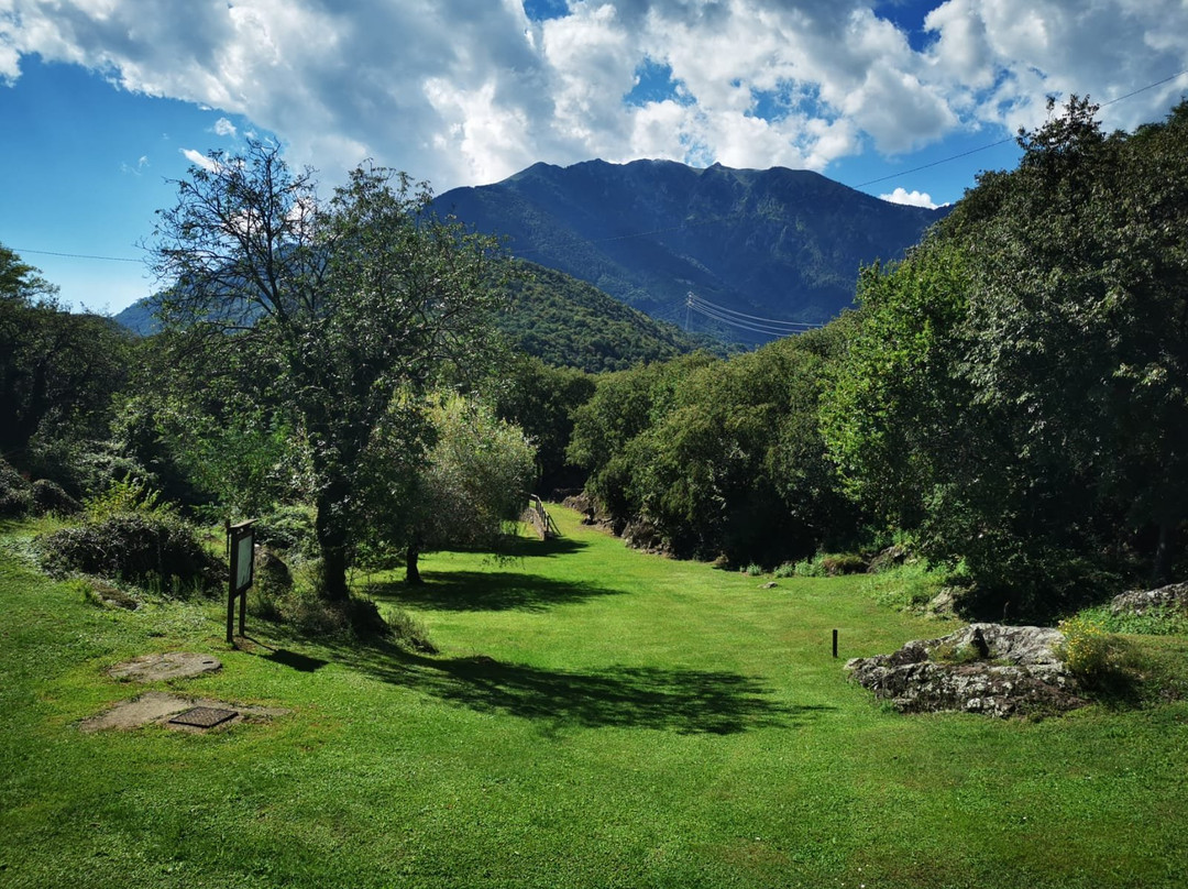 Parco Comunale delle Incisioni Rupestri di Luine景点图片