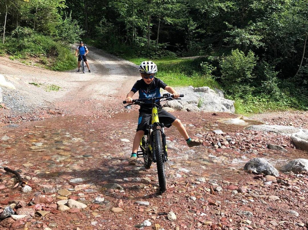 Bike Nature-圣约翰堤候必去景点
