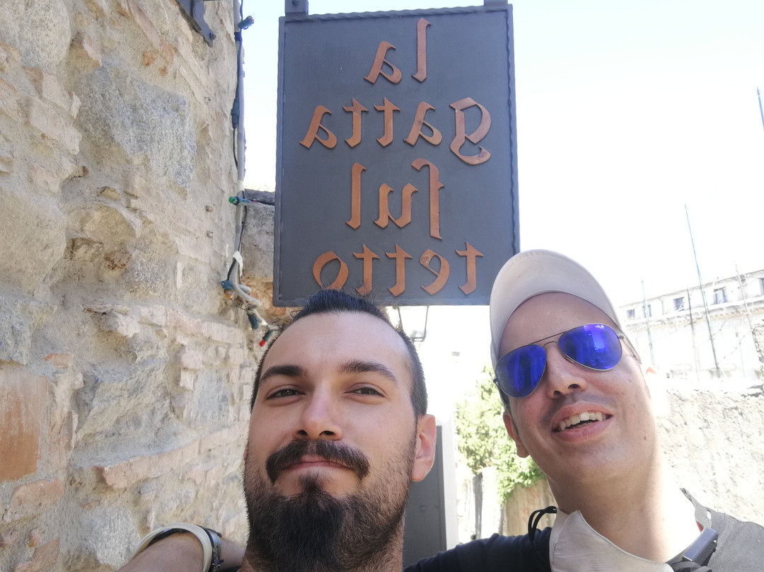 La Gatta sul Tetto主图