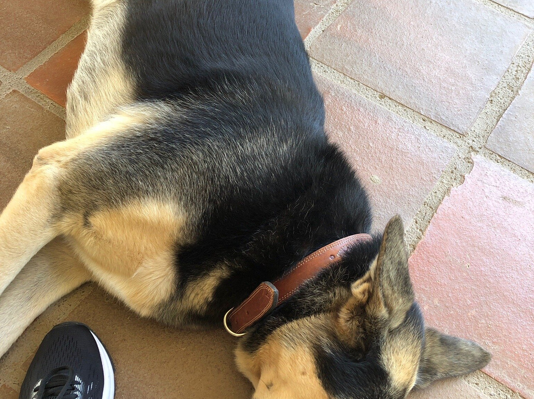 Hotel Boutique Villa Toscana主图