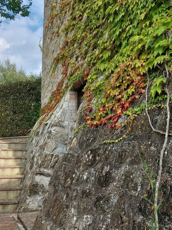 Relais Guado al Sole主图