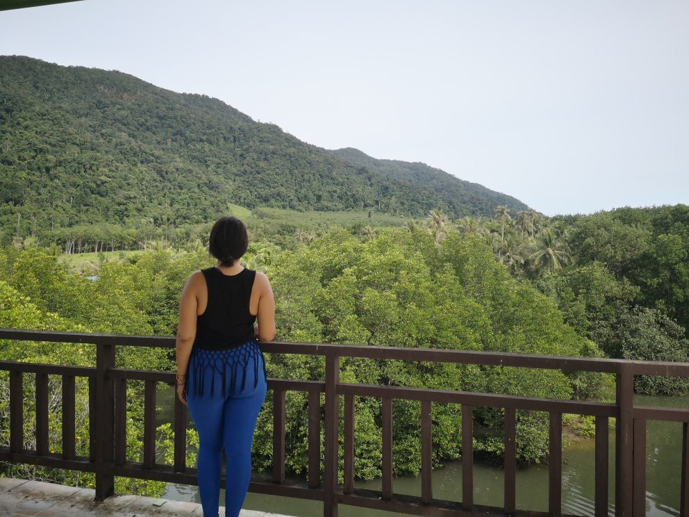 Salakphet Mangrove Walkway-桐艾必去景点