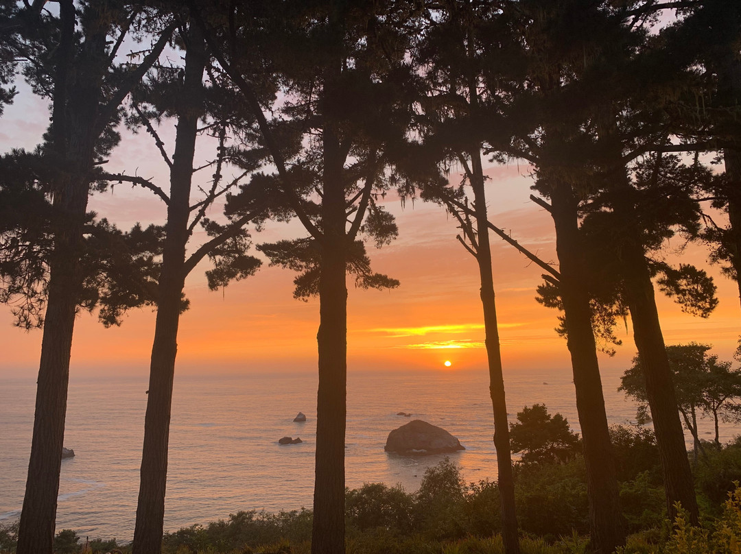 Lost Whale Inn主图