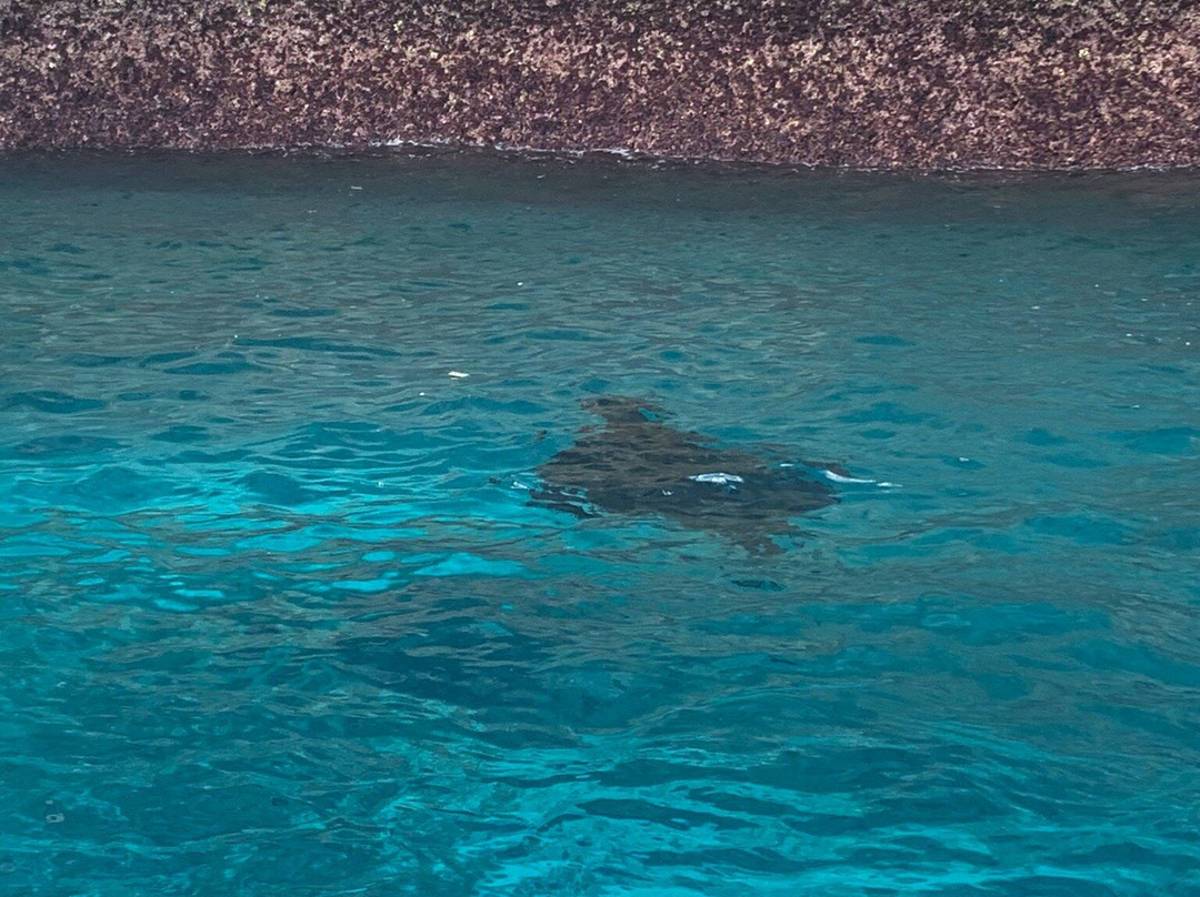 Nusa Penida Explorer-珀尼达岛必去景点