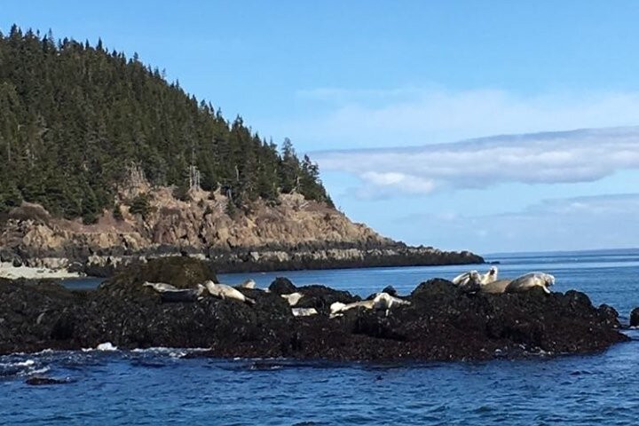 Bay of Fundy Scenic Lobster Tours景点图片