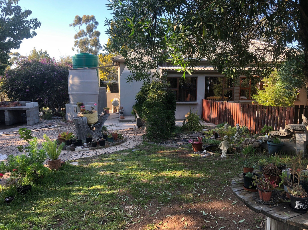 Cape Robin Guesthouse主图