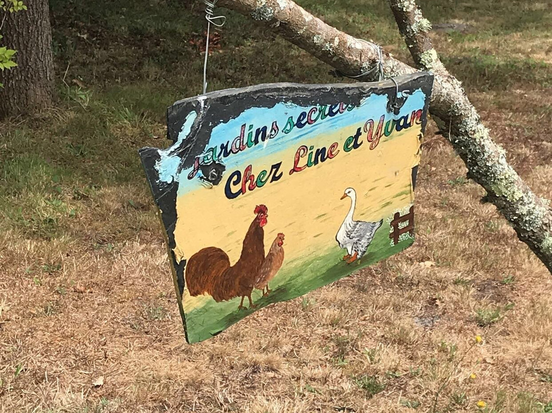 Jardins secrets主图