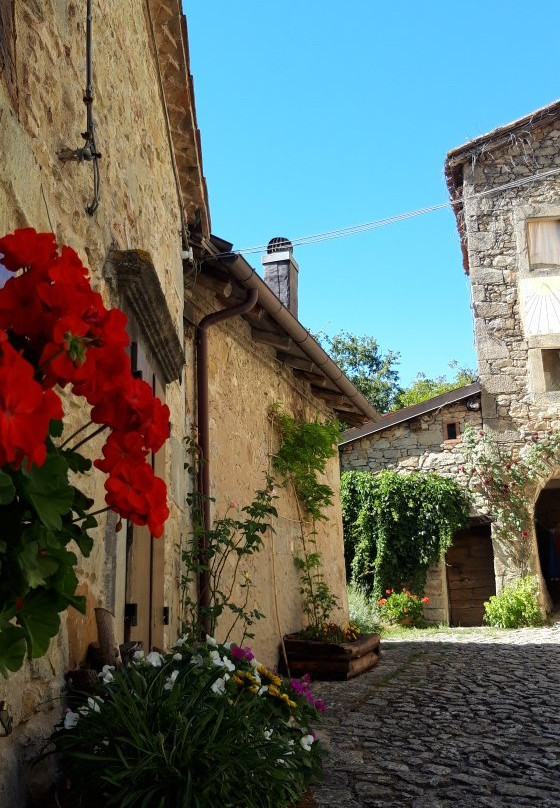 Borgo La Scola景点图片