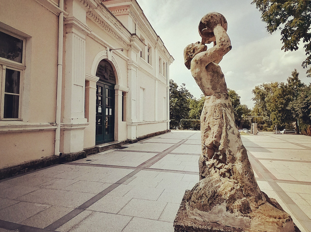 Art Gallery Nikola Petrov-Vidin必去景点