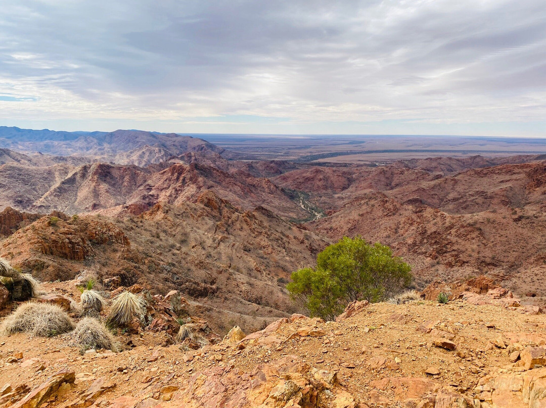 Arkaroola Wilderness Sanctuary景点图片