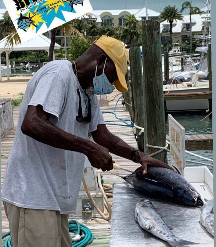 BITE ME Sport Fishing-Turtle Cove必去景点