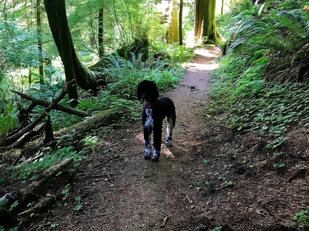 Cascade Head Trail-Otis必去景点