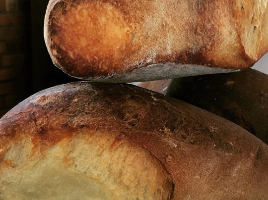 Hotel Hamilton主图