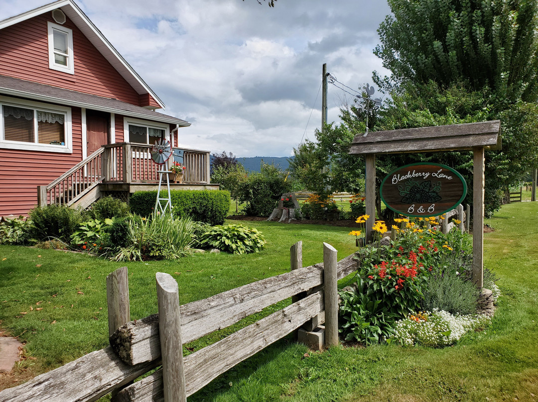 Blackberry Lane Bed and Breakfast主图
